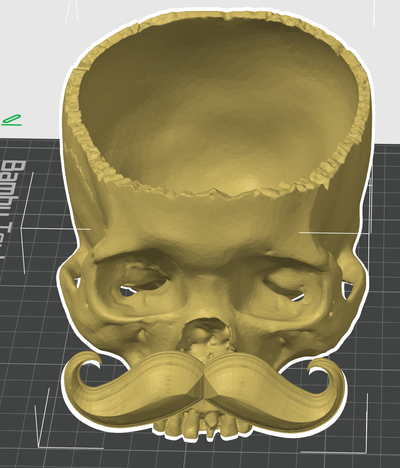 bonbons crâne moustache édition partagé by gymnase broche art sculptures halloween 3d print model - Mito3D