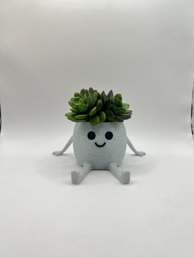 contento pentola mini succulenta fioriera by mac disegni domestico arredamento fioriere impianti pianta contenitore seduta regalo 3d stampa stampato casa decorazione 3d print model - Mito3D