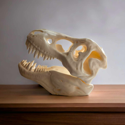 t rex cranio ridimensionato at 75 supporto necessario remixato by print3dgifts arte sculture trex 2024 scultura in piedi decorazione p1p x1c a1 3d print model - Mito3D