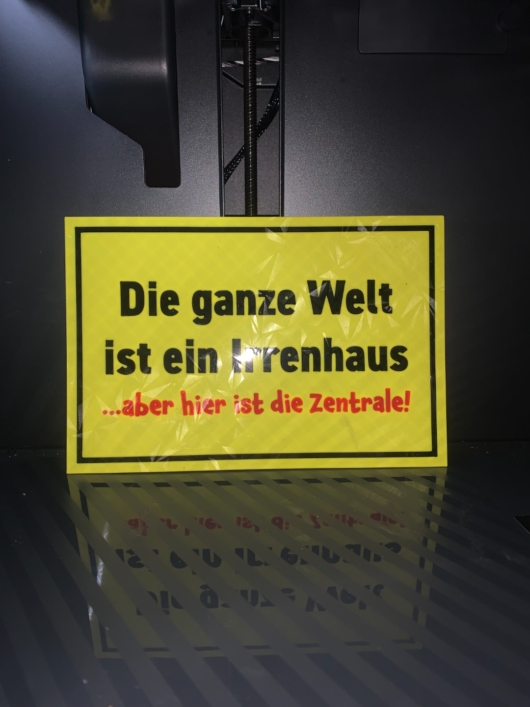 lustiges schild sterben welt irrenhaus by gare sb kunst zeichen logos froh zentrale 3D print model - Mito3D