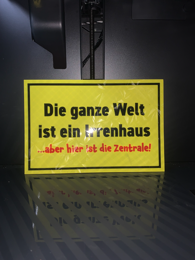 lustiges schild sterben welt irrenhaus by gare sb kunst zeichen logos froh zentrale 3d print model - Mito3D