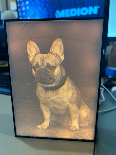 lightbox lithophane 13x18 by antoinehendrick1987 generative 3d model hueforge & frame 3d print model - Mito3D