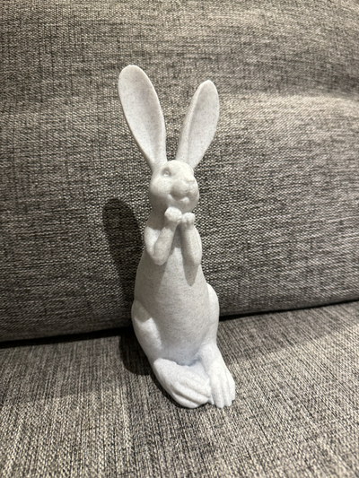 coniglietto by fissare arte sculture pasqua coniglio scansione scultura fallimento decorazione casa vivere amore ridere animale 3d print model - Mito3D