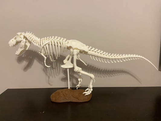 verstärkt rex skelett fest neu gemischt by encrust3d kunst skulpturen dinosaurier bauen fossil 3d print model - Mito3D