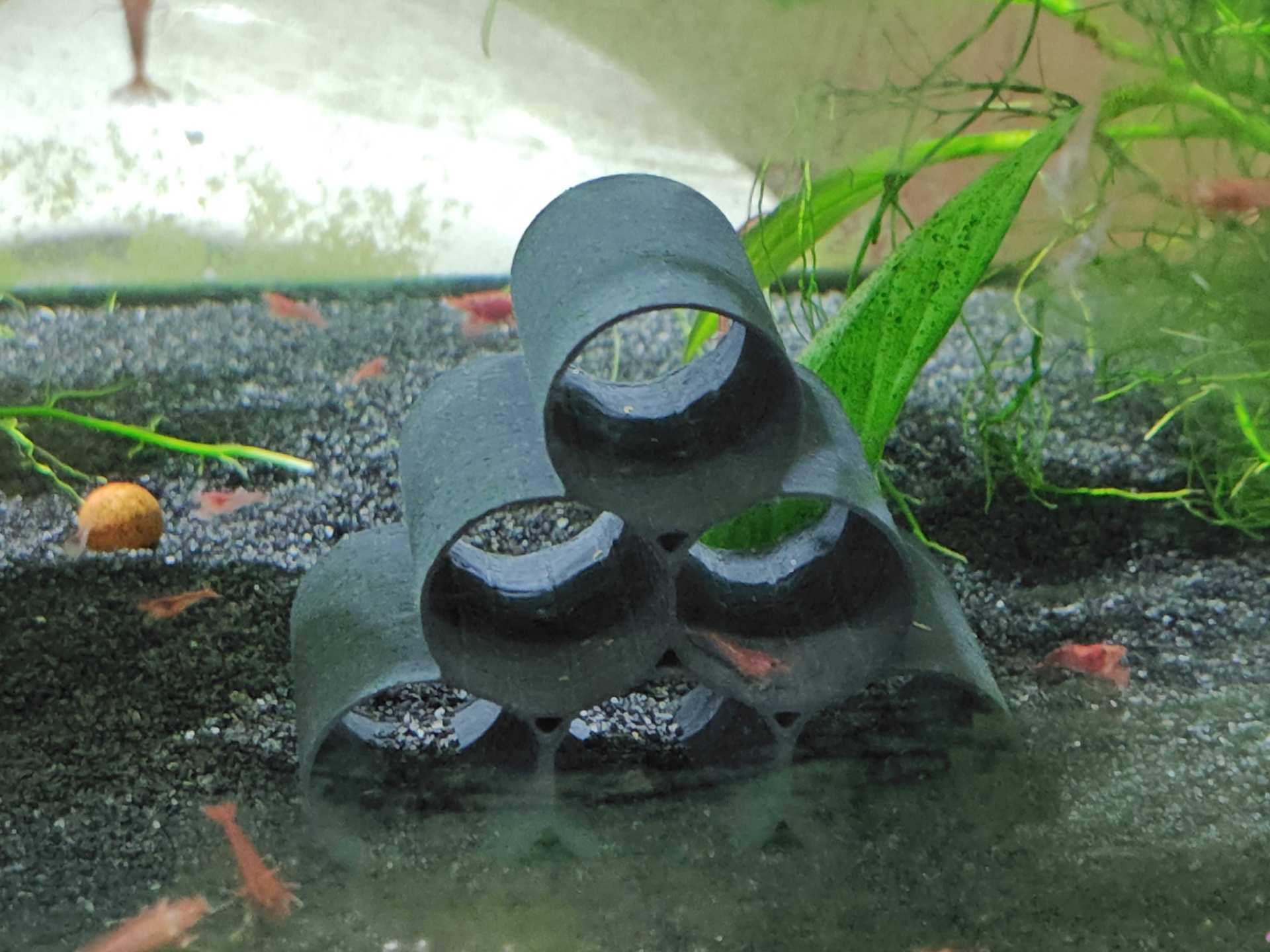 mini garnele haus by angst hobby diy panzer garnelenhaltung shrimpaquarium garnelen aquarium zubehör 3D print model - Mito3D