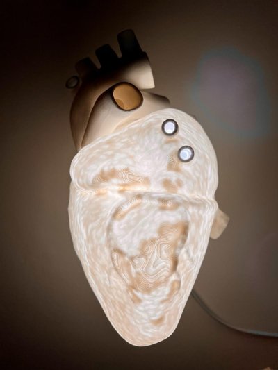 anatomical heart lamp by leocaimmi art models anatomicalheart 3d print model - Mito3D