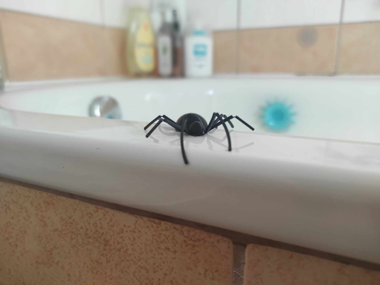 pegadinha aranha by laranja miniaturas animais piada falso suporte dobrar pernas spidey piada prático truque complicado bruxas homem brinquedo 3d print model - Mito3D