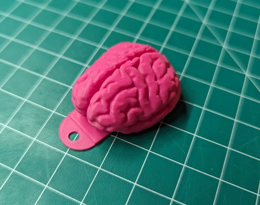 brain keychain remixed by liz kari art models 3d print model - Mito3D