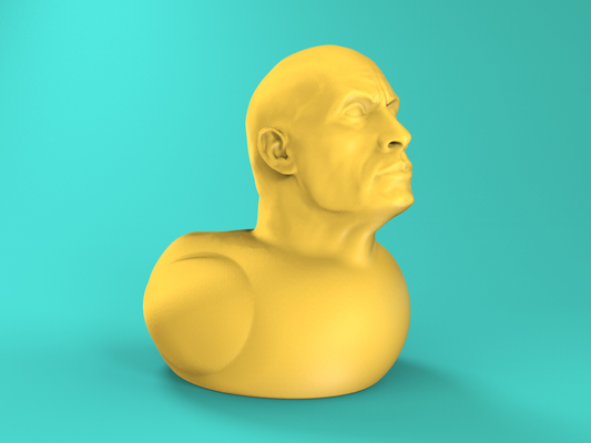 dwayne pato johnson remixado by espinho misturar brinquedos jogos brinquedo banheira engraçado flutuando memes banheiro patinho rocha borracha 3d print model - Mito3D