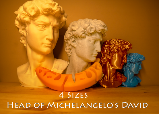 testa of michelangelo's david remixato by 3d pesce arte sculture michelangelo medievale 3d print model - Mito3D