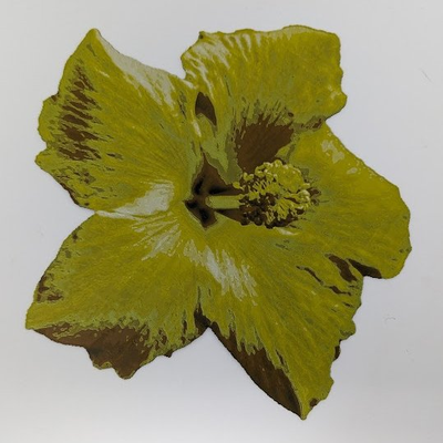 yellow hibiscus hueforge by fatboy1271 household garden flower filamentpainting 3d print model - Mito3D