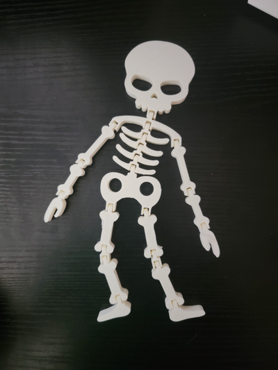 flexi halloween skeleton decoration toy shared by florida man toys & games articulated 3d print model - Mito3D
