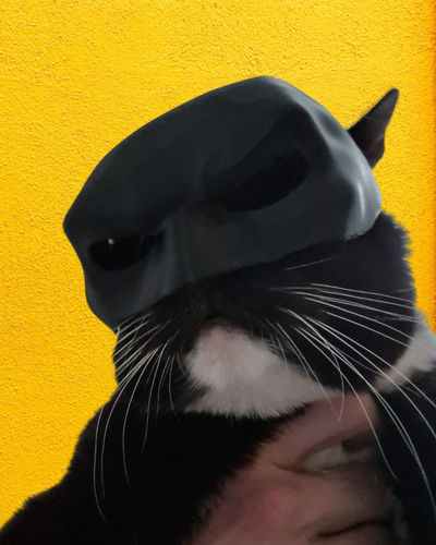 bat cat batman kedi maske tilki yeniden karıştırılmış by maksimumlar sahne cosplays maskeler kasklar yarasa adam komik kediler kostüm oyunu 3d print model - Mito3D