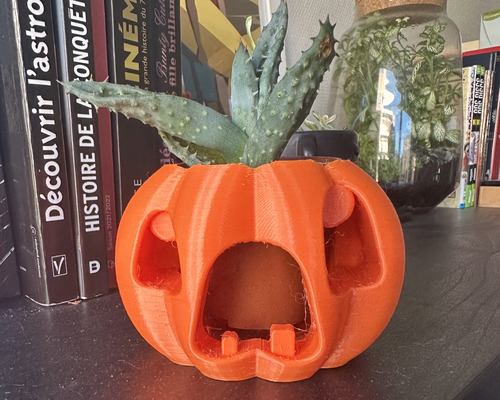 perfect panicked pumpkin planter sizes by benoitperocheau household decor halloween funny halloweendecoration 3d print model - Mito3D
