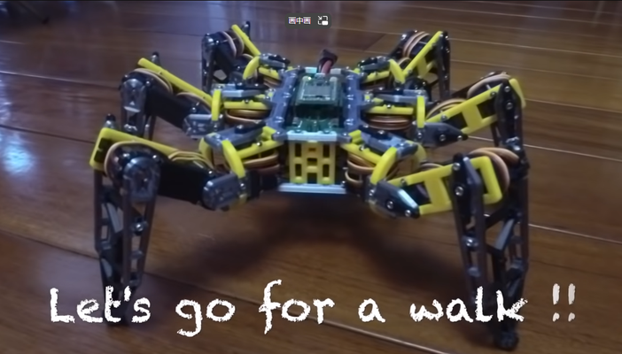 haxepod roboter by xcc bildung ingenieurwesen hexapod 3d print model - Mito3D