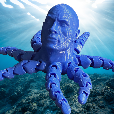 rocktopus dwayne rock johnson shared by thinkable toys & games octopus articulated articulation articulating articulatedmodel articulatedfigure dwaynejohnson dwaynetherock therockjohnson therocktopus dwaynetherockjohnson dwaynedontknockjohnson roctopus 3d print model - Mito3D