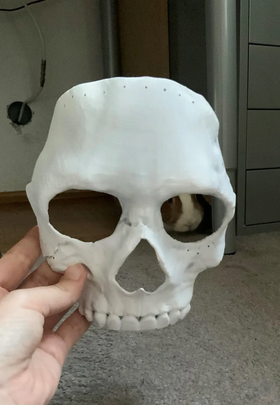 fantôme masque morue miiii 2022 partagé by hnogueras accessoires cosplays masques casques appel devoir 3d print model - Mito3D