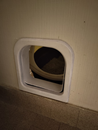 gatto lembo by martedì 15 febbraio 2019 domestico animali domestici catflap 3d print model - Mito3D