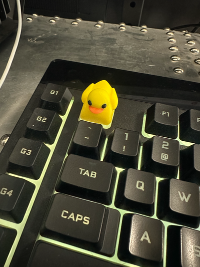 ducky tastenkappe k55 modell neu gemischt by abonnieren miniaturen tiere tastatur schlüssel zubehörteil tastaturcorsair 3d print model - Mito3D