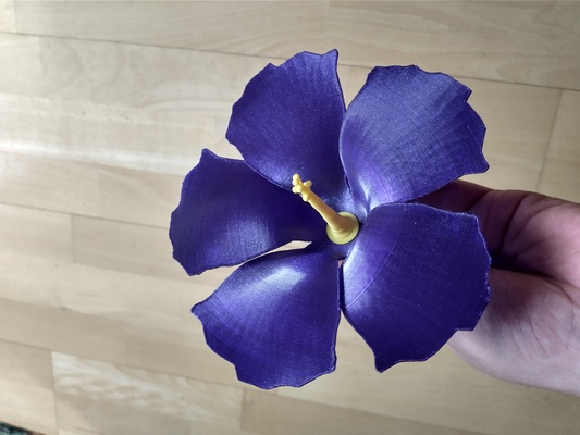 3d hibiscus fleur by temps fort art modèles décoration support 3d print model - Mito3D