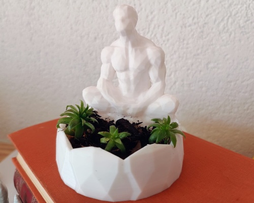 meditation bildhauerei pflanzer container by kunst modelle lowpoly geschenk unterstützung skulptur 3d print model - Mito3D