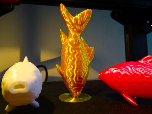 pesce rosso test by grande 3d stampante modelli tester modello prova ornamentale orlo 3d print model - Mito3D