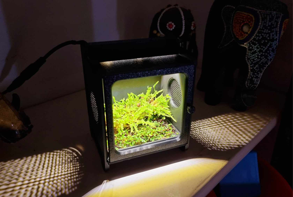 nano mosario terrario by saca tus bichos casa decoración musgo naturaleza escritorio oficina led encendiendo lámpara bio acuario plantas planta maceta plantador escapar aquascape paisaje terraza creciente zen jardín 3d print model - Mito3D