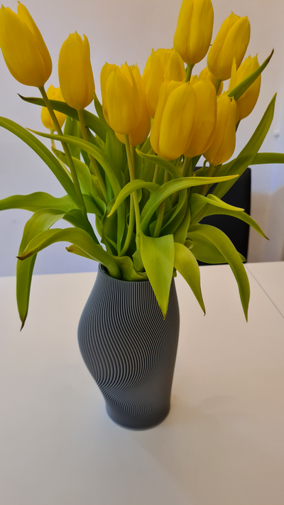 moderno spirale geometrico vaso by samipernsteiner domestico arredamento modalità vasemode vasi deco decorazione decorativo fiore fiori arte design 3d print model - Mito3D