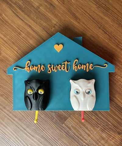 key holder blinking owl remixed by nishad household decor keyholder homesweethome 3d print model - Mito3D