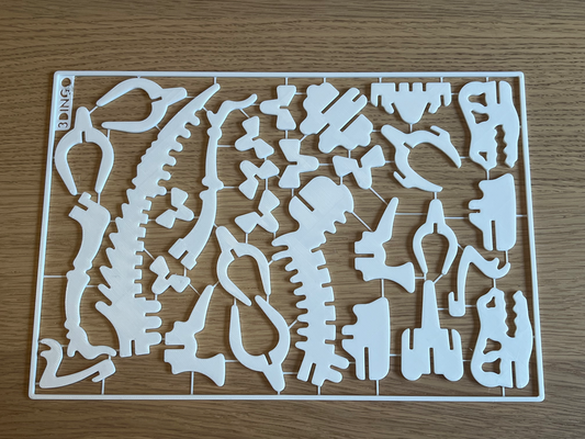 rex 3d puzzle kit karte 29 stücke by 3dingo spielzeuge spiele rätsel kitcard bausatzkartenmontage kitkarten original spiel dino dinosaurier tyrannosaurus tyrannosaurusrex skelett versammlung gioco spielzeug kinder kind spaß bauen giocattolo komisch freistehend modell a1 mini a1mini 3d print model - Mito3D