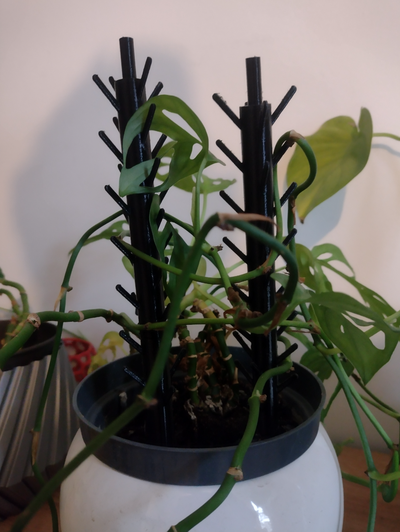 fiore supporti mostri by printalion domestico giardino pentola rinforzo supporto semplice pila 3d print model - Mito3D
