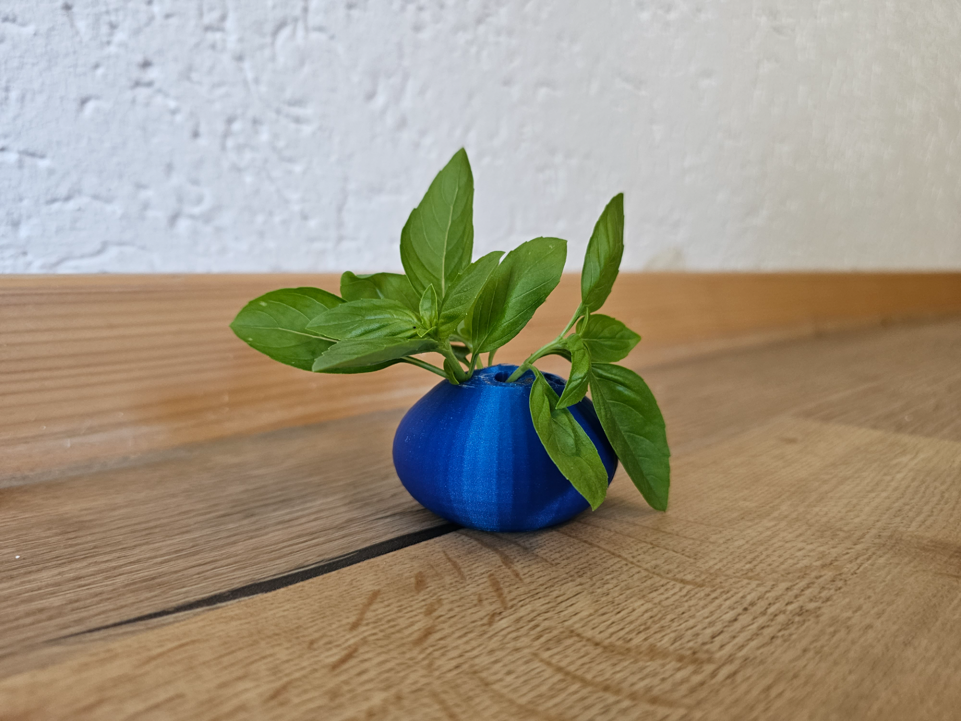 daisy herb vase g nsebl mchenvase by tkriesmair household garden kitchen kitchengadget cooking herbs flower 3D print model - Mito3D