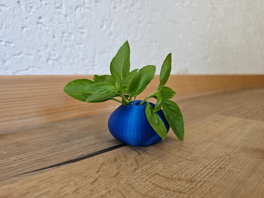 margherita erba vaso g nsebl mchenvase by tkriesmair domestico giardino cucina gadget cucinando erbe aromatiche fiore 3d print model - Mito3D