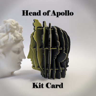 testa of apollo kit carta by andrea1211 arte sculture belvedere vaticano musei vaticani scultura 3dart fallimento fotogrammetria nido nidificazione pop art colore museo ad incastro concorso kitcard eredità cultura 3d print model - Mito3D