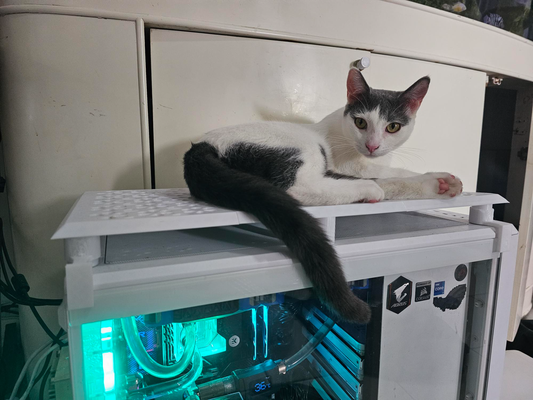 pc hayran kefen kedi arkadaş canlısı fraktal meshleştirmek 2 by büyükbausraus ev halkı evcil hayvanlar bilgisayar mod havalandırma 3d print model - Mito3D
