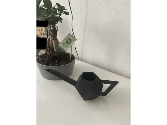 watering can by knolliwood household garden giesskanne plant deco 3d print model - Mito3D