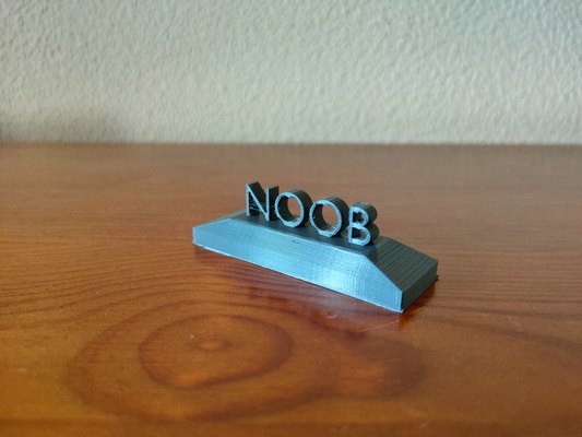 noob prix ultime gag cadeau by braga3dprint jouets jeux drôle signe humour humoristique 3d print model - Mito3D