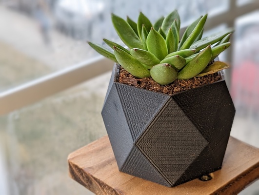 geometrik sulu tencere drenaj delik by ürdün gözetmen tasarımlar ev halkı bahçe bitki ekici bitkiler kap houseplants etli geometrik bitkisi 3d print model - Mito3D