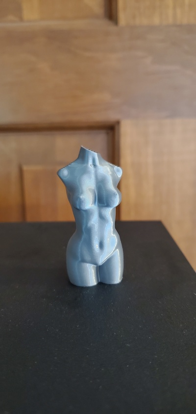 hembra cuerpo florero compartido by corruptwave16 arte esculturas modelo 3d print model - Mito3D
