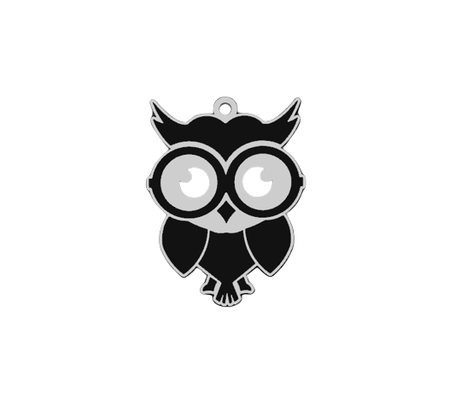 owl keychain by mohammedbayyar hobby & diy 3d print model - Mito3D
