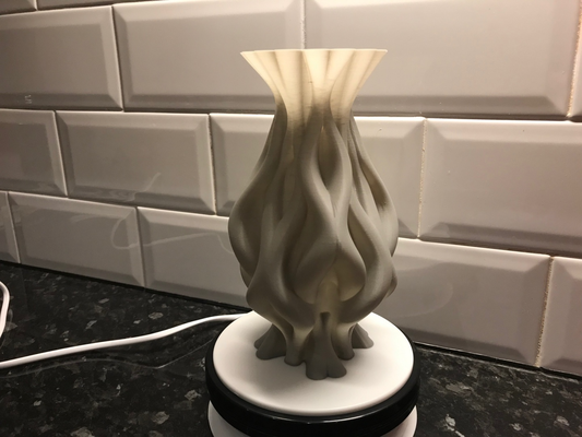 flame vase 2 by brithawkes household decor art 3d print model - Mito3D