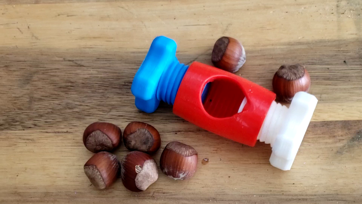 small nutcracker hazelnuts by m idex household house models nut hazelnut 3d print model - Mito3D