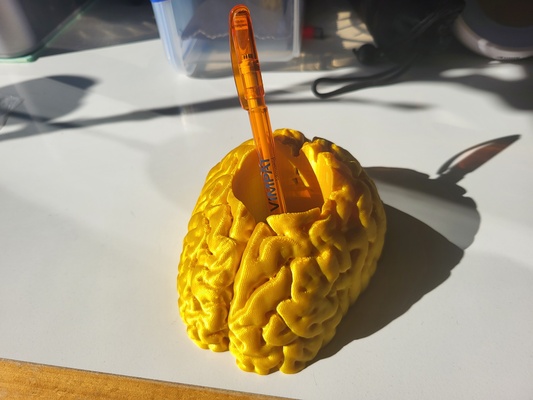 cervello penna matita titolare supporto or tavolo organizzatore remixato by 75echo arte sculture ufficio porta neurologia 3d print model - Mito3D