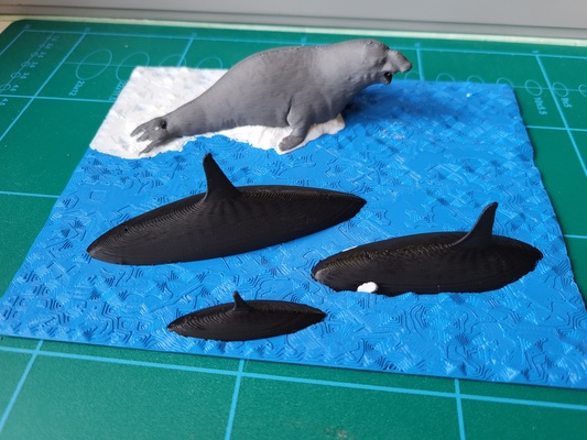seal hunted by orcas- table art sculpture diorama remixed 75echo sculptures water decoration gift nature orca hunting iceberg bambu 3d print model - Mito3D