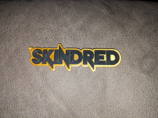 skindred keyring by cruse2382 art signs & logos 3d print model - Mito3D