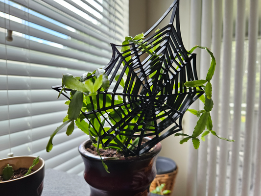 simple spider web trellis by ucnbb45 household garden plant spiderweb 3d print model - Mito3D