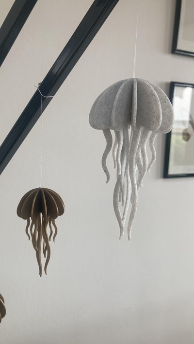 jellyfish model by toxvaerd household decor decoration animal interior hanging 2dart jelly homedecoration householditem interiordesign 2dartwork homedecorations 3d print model - Mito3D