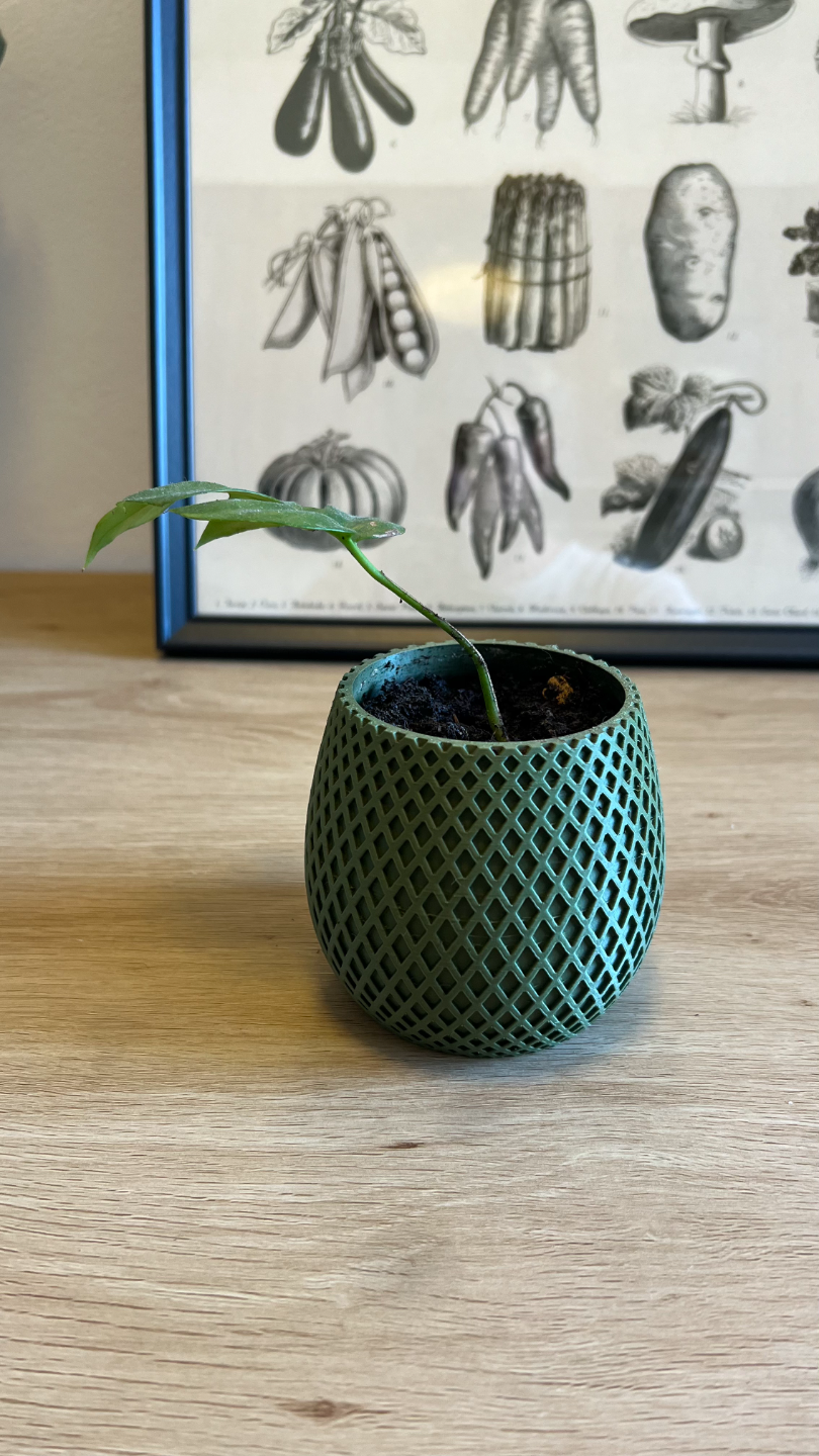 geometrical flower pot 90x90 mm by lukas pomykal household decor planter plant 3D print model - Mito3D