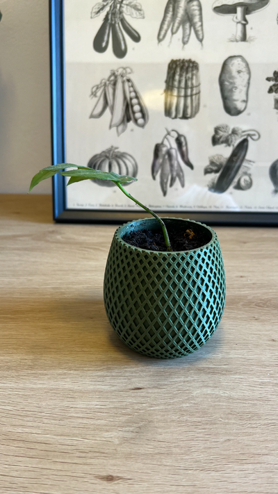 geometrical flower pot 90x90 mm by lukas pomykal household decor planter plant 3d print model - Mito3D
