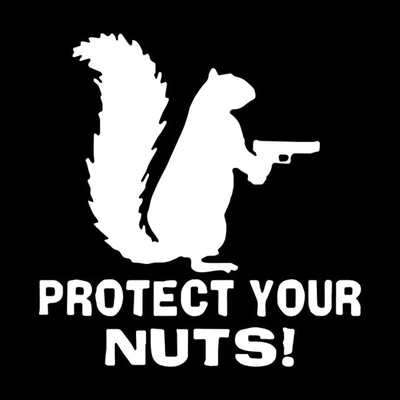 protect nuts by moby2112 art signs & logos 3d print model - Mito3D